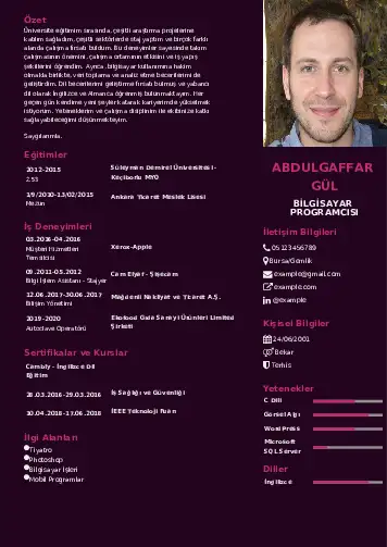 Bilgisayar Programcısı CV Örnekleri cv indir